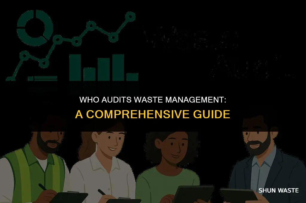 who audits waste management
