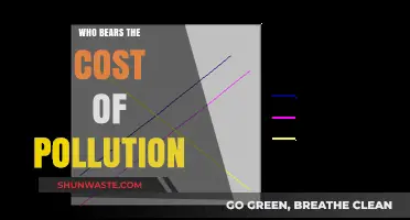 Pollution's Price Tag: Who Pays the Environmental Cost?