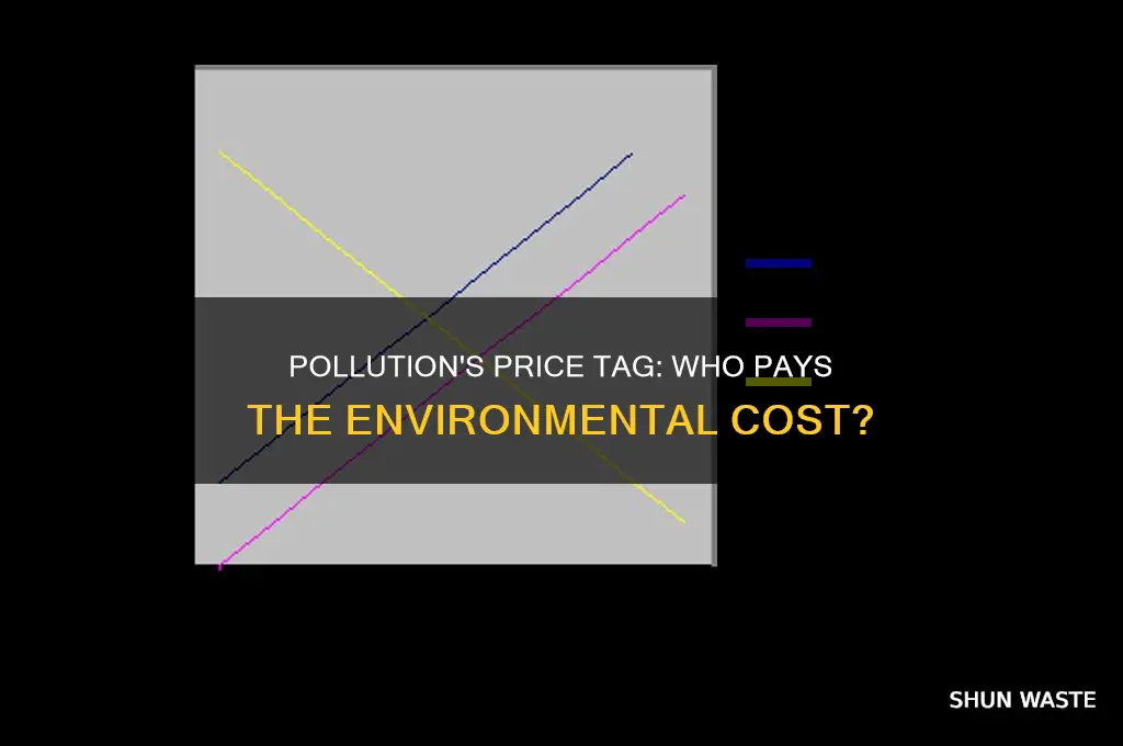 who bears the cost of pollution