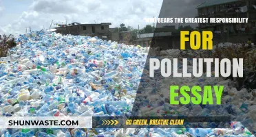 Pollution Crisis: Who Bears the Greatest Responsibility?