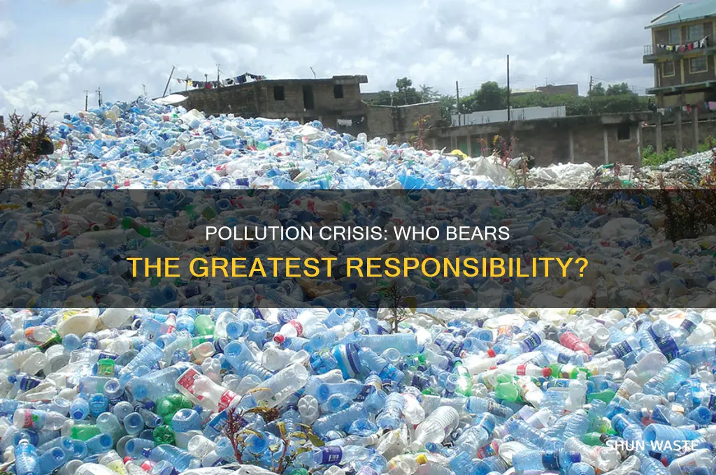 who bears the greatest responsibility for pollution essay