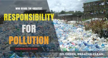 Pollution Crisis: Who Bears the Greatest Responsibility?