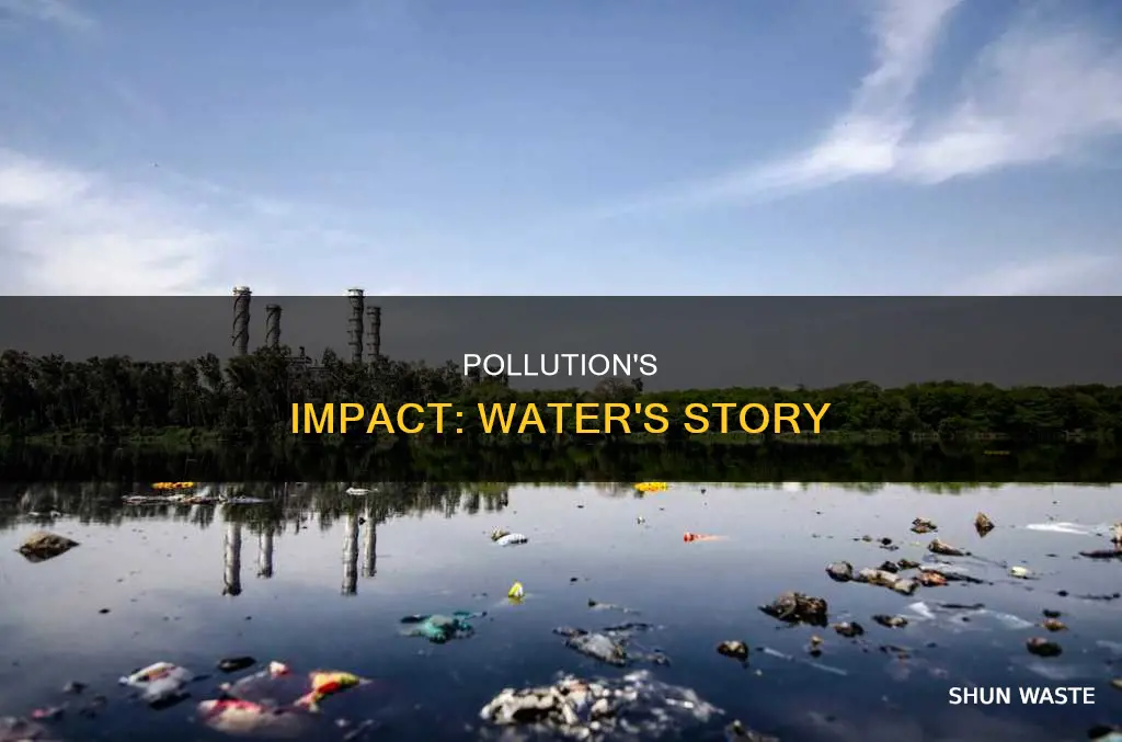 who believes in pollution and the affects of water