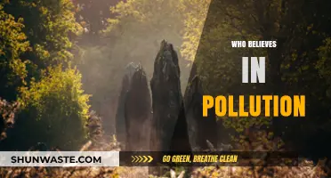 Who Believes in Pollution? Unraveling Myths and Realities of Environmental Impact