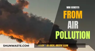 Polluters Profit, Communities Pay: The Cost of Air Pollution