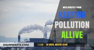 Pollution Profiteers: Who Gains from Environmental Degradation?