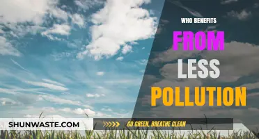 Breathing Easier: Who Gains from Reduced Pollution and Cleaner Air?
