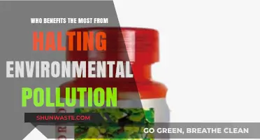 Halting Environmental Pollution: Who Gains the Most in a Greener World?