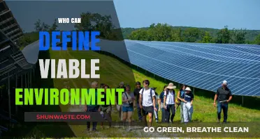 Defining a Viable Environment: Perspectives, Challenges, and Collaborative Solutions