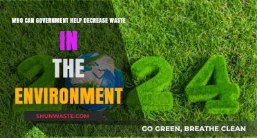 How Governments Can Lead the Fight Against Environmental Waste