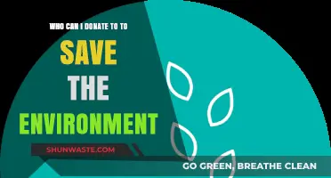 Top Eco-Friendly Organizations to Donate to for Environmental Conservation