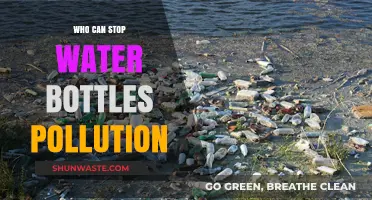 The Power to Stop Water Bottle Pollution: Collective Action, Individual Impact