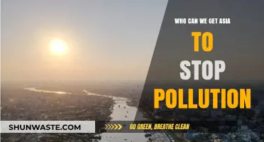 Global Action: Strategies to Halt Asia's Pollution Crisis