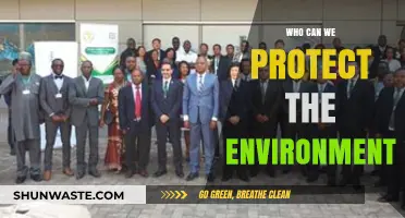 Sustainable Steps: How We Can Protect Our Environment Together
