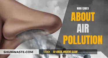 Air Pollution: Who's Affected and Why We Should Care