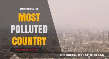 Unveiling the World's Most Polluted Nation: A Startling Environmental Reality