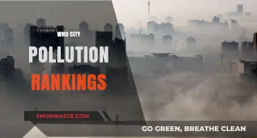 Global City Pollution Rankings: Unveiling the Cleanest and Dirtiest Urban Centers