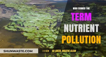 Unveiling the Origin: Who Coined the Term Nutrient Pollution?