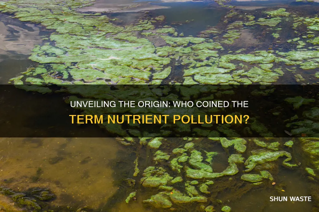 who coined the term nutrient pollution