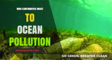 Unveiling the Major Contributors to Global Ocean Pollution Crisis