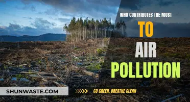 The Main Culprits Behind Air Pollution