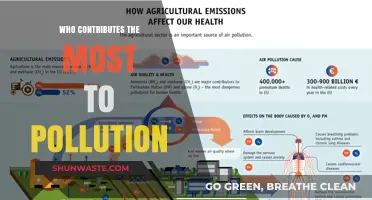 Unveiling the Biggest Polluters: Industries, Nations, and Daily Habits