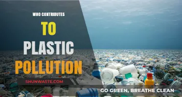 Unveiling the Culprits: Who Contributes to Plastic Pollution Crisis?