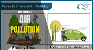 Controlling Air Pollution: Who's Responsible?