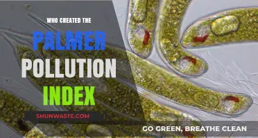 The Origins of the Palmer Pollution Index: A Historical Overview