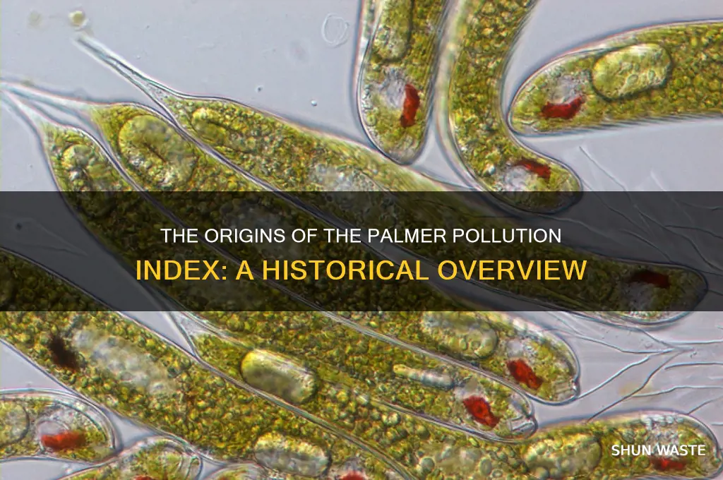 who created the palmer pollution index