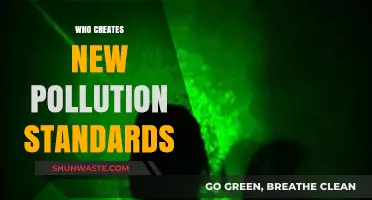 Who Sets New Pollution Standards and How They Impact Us