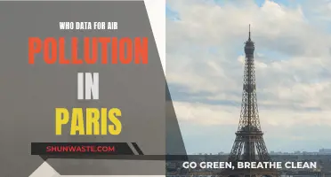 Air Pollution in Paris: WHO Data Reveals All