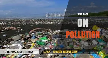 WHO's Alarming Pollution Data: Global Health Crisis Unveiled