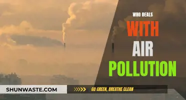 Air Pollution: Who's Responsible?