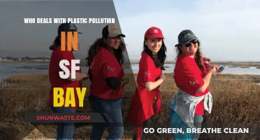 Tackling SF Bay's Plastic Crisis: Key Organizations Leading the Cleanup