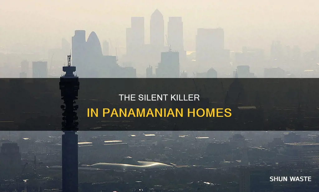 who death by household air pollution panama