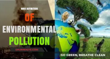 Understanding WHO's Definition of Environmental Pollution and Its Global Impact