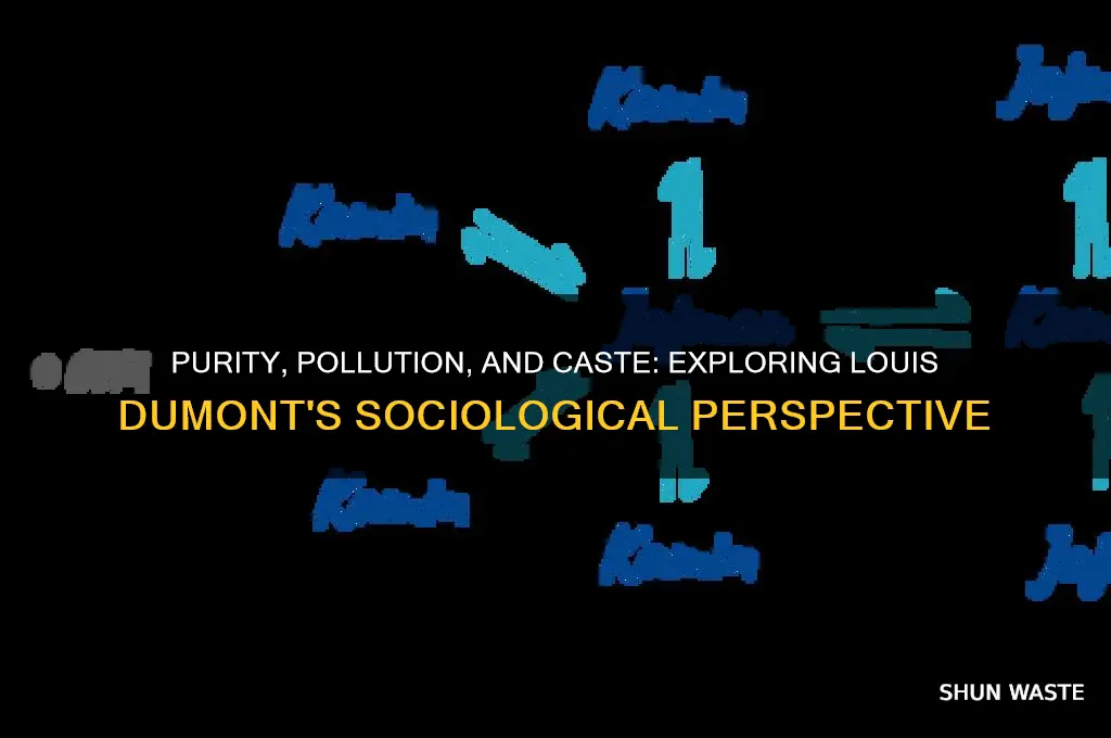who described caste in terms of purity and pollution