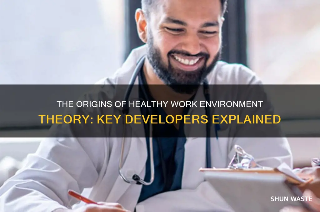 who developed the healthy work environment theory