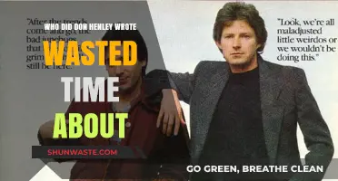 Unraveling the Mystery: Who Inspired Don Henley's 'Wasted Time'?