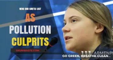 Greta Thunberg's Pollution Culprits: Exposing the Top Contributors to Environmental Harm