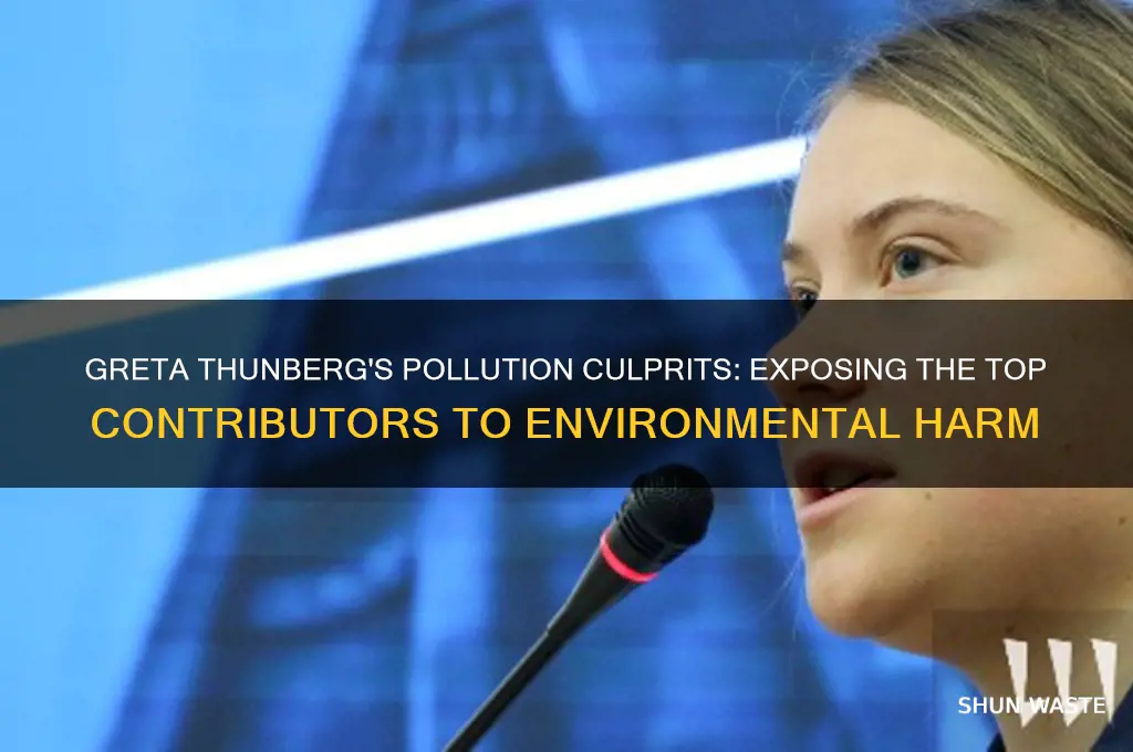 who did greta list as pollution culprits