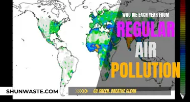 Air Pollution: A Preventable Cause of Death