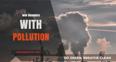 Unveiling the Voices: Who Stands Against Environmental Pollution?