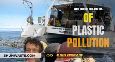 Plastic Pollution: Who First Raised the Alarm?