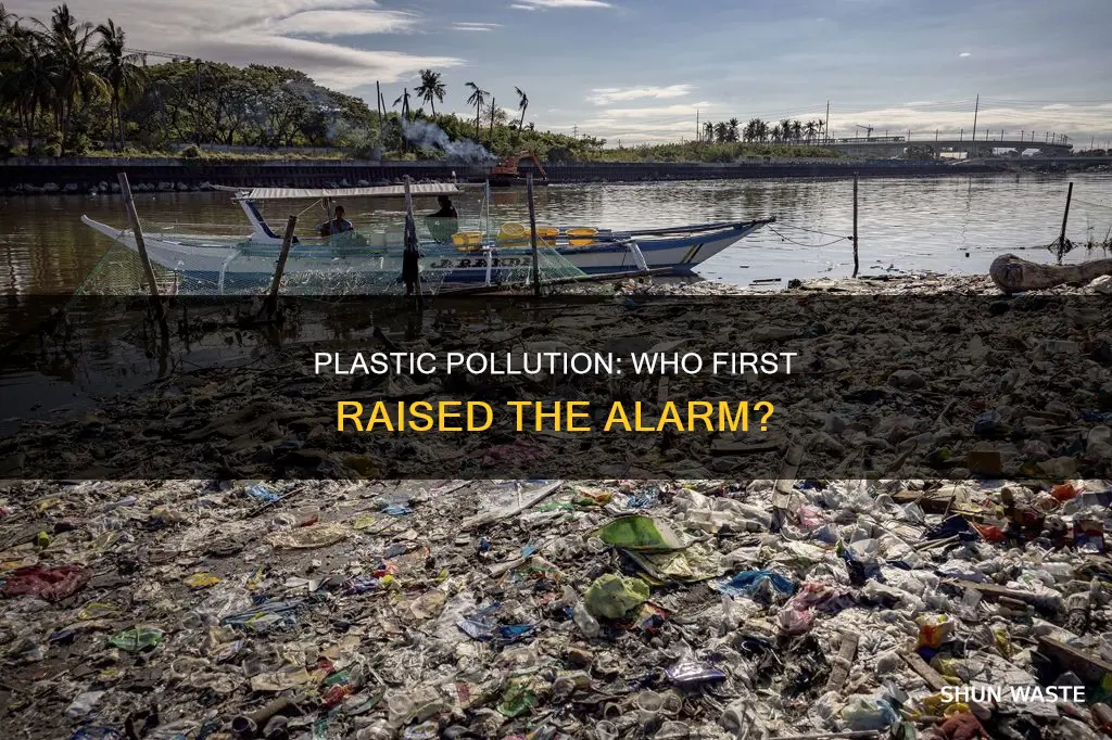 who discovered affects of plastic pollution