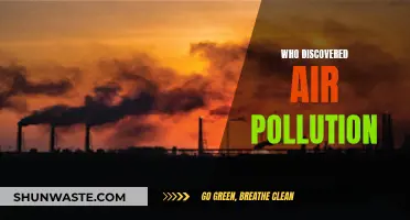 Air Pollution: Who First Saw the Invisible?