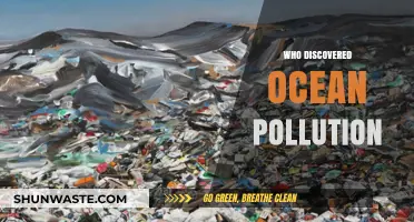 Unveiling the Pioneers: Who First Discovered Ocean Pollution?
