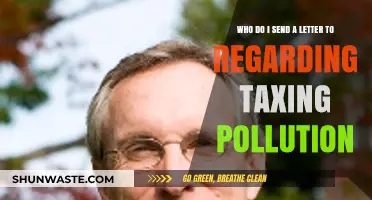 Addressing Pollution Taxes: Who's the Right Recipient for Your Letter?