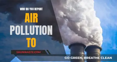 Air Pollution: Who to Report to?